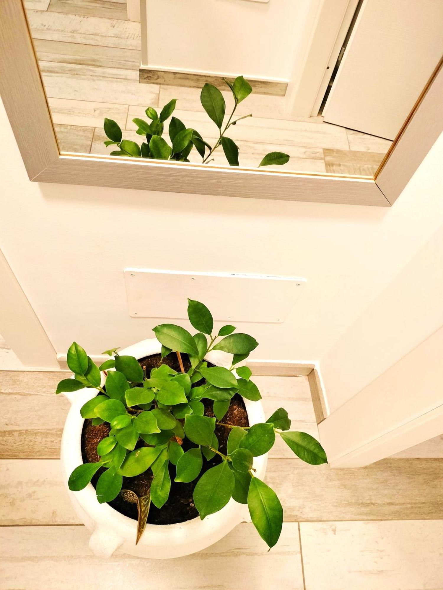 Appartamento Le Ginestre San Vito Lo Capo Exterior photo